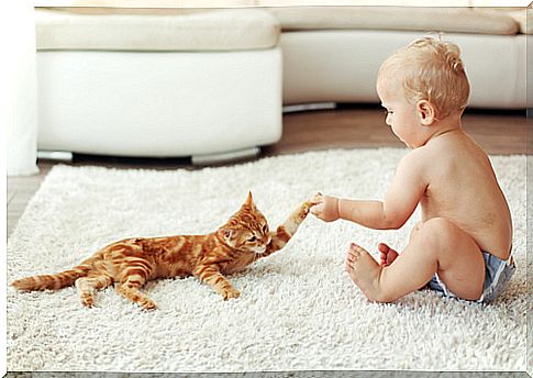 cat-with-child