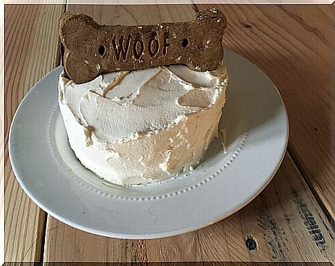 a bone-in dog cake