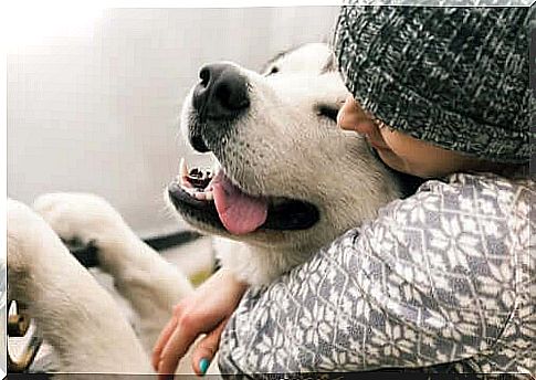 Dog and owner exchange cuddles.