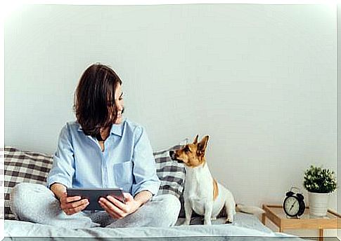 Dog with mistress on the bed 