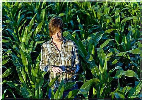 Woman in a field.