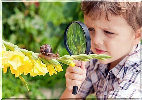 child observes a snail with a lens