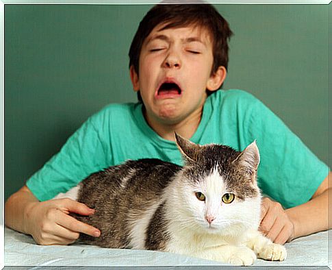 boy sneezes near a cat