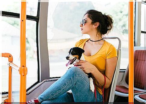 Animals on public transport: what does the law say?