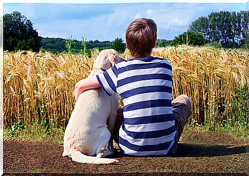 Child and dog in the countryside