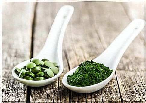 Chlorella for dogs: 3 important benefits