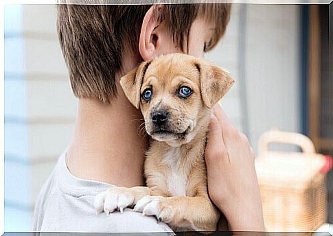 child with little dog in her arms