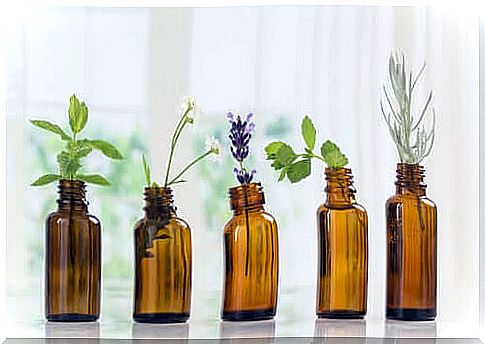 Essential oils for pets