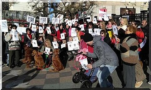 Great march in defense of animal rights