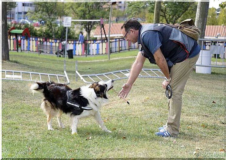 Ecco il cane che scova i veleni nei parchi