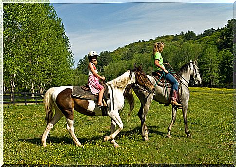 Hippotherapy: Horses help you