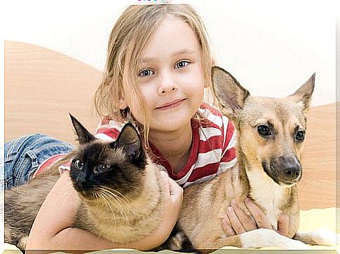 Little girl hugs cat and dog   