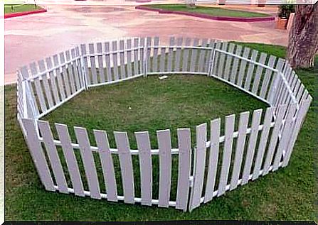 White fence for the dog in the garden.