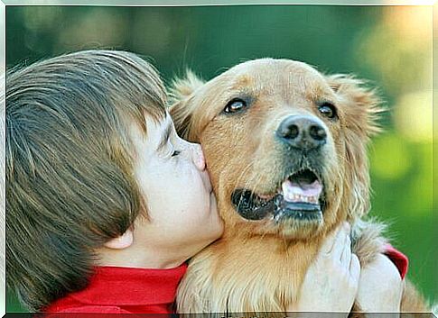 How to teach the love of animals to children