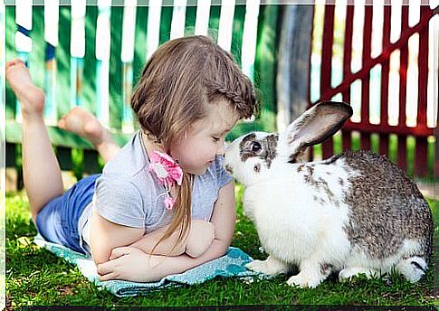 Little girl with rabbit