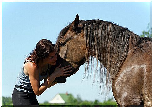 a girl hugs horse