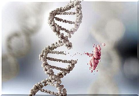 Broken DNA helix, genetic modification.