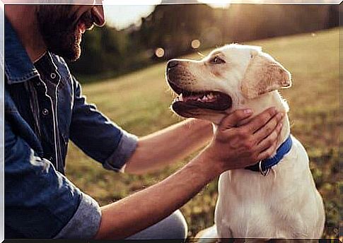 Happy dog ​​and owner