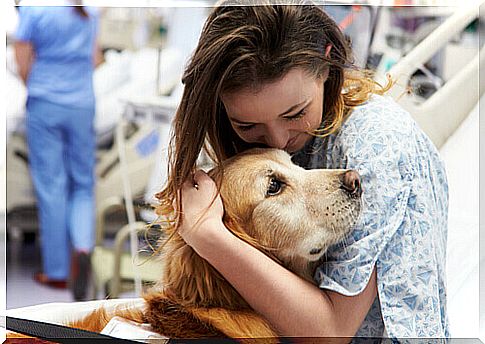 Nursing dogs that save our lives