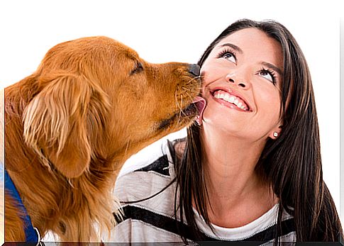 The "kisses" of dogs and their secrets