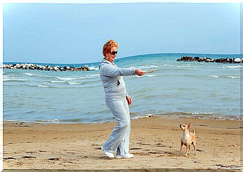 chihuahua and lady at the sea