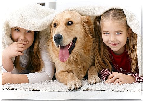 The 10 best dog breeds for children