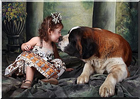 little-girl-and-saint-bernard