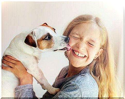 Dog licking a little girl's face.