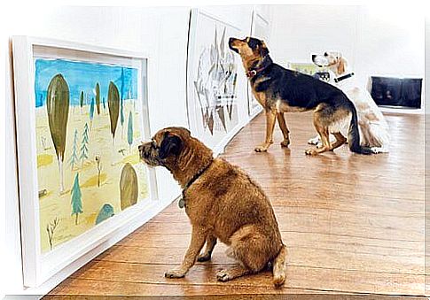 World's first exhibition for dogs