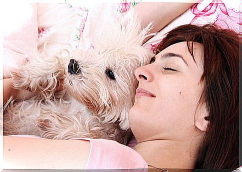 sleeping with dog